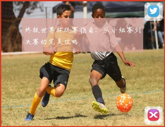 终极世界杯观赛指南：从小组赛到决赛的完美攻略